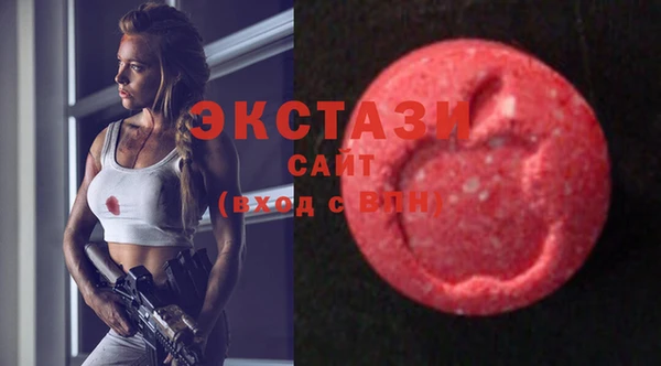 стаф Касимов