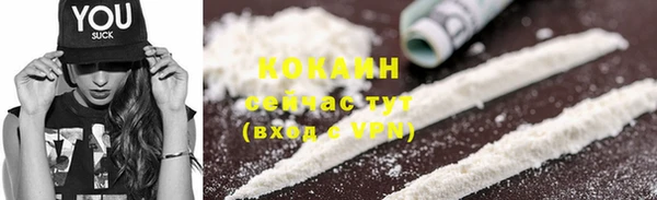 ГАЛЛЮЦИНОГЕННЫЕ ГРИБЫ Каменногорск