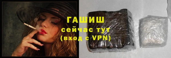 стаф Касимов