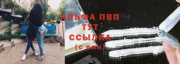 эйфоретик Карпинск