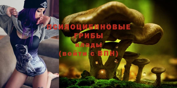 ГАЛЛЮЦИНОГЕННЫЕ ГРИБЫ Каменногорск