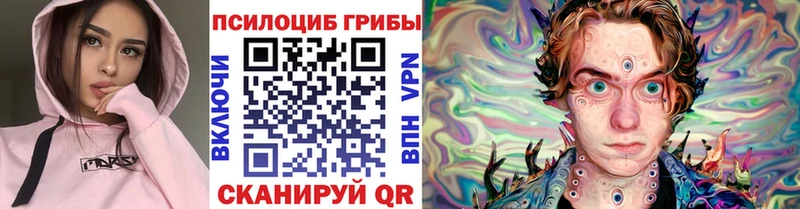 Псилоцибиновые грибы мицелий  Купить  Ельня 